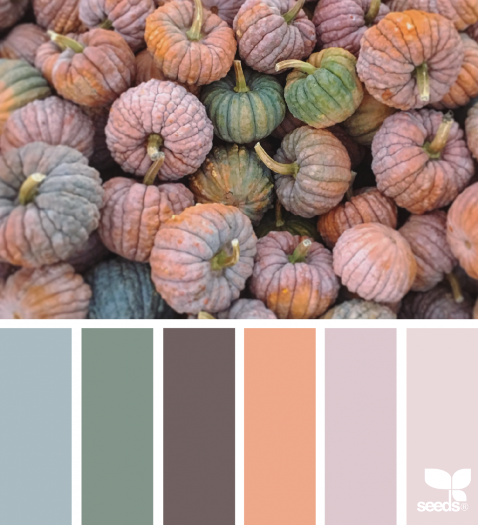 Color Thanks | Design seeds, Fall color palette, Color harmony
