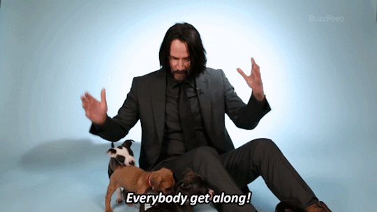 get along | Fictional characters, Keanu reeves, Puppies