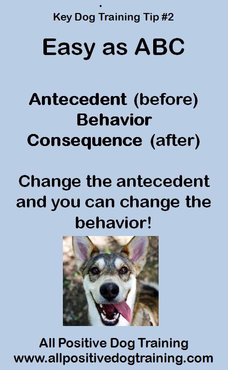 Easy As Abc Http Www Allpositivedogtraining Com