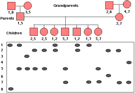 restriction fragment length polymorphism