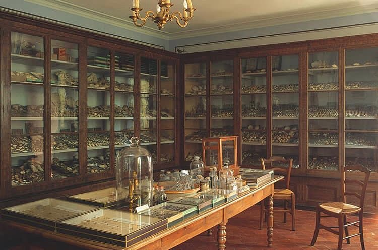 Hashtag Jeanhenrifabre Sur Instagram Photos Et Videos Interieur Jean Henri Fabre Fabre