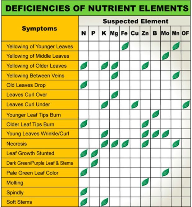 leaf illustrations and charts to help diagnose plant hydroponic nutrient chart for vegetables