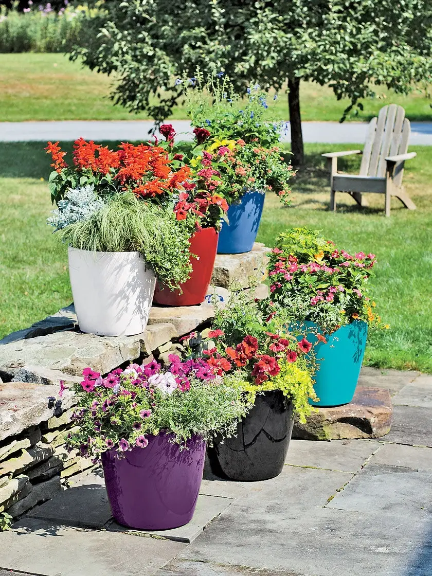 viva self watering rolling planter small round flower pot casters patio planters gardener in 2021 easy plants to grow container gardening flowers self watering bloem rail planter on viva self watering rolling planter small round flower pot casters patio planters gardener in 2021 easy plants to grow container gardening flowers self watering viva self watering rolling planter