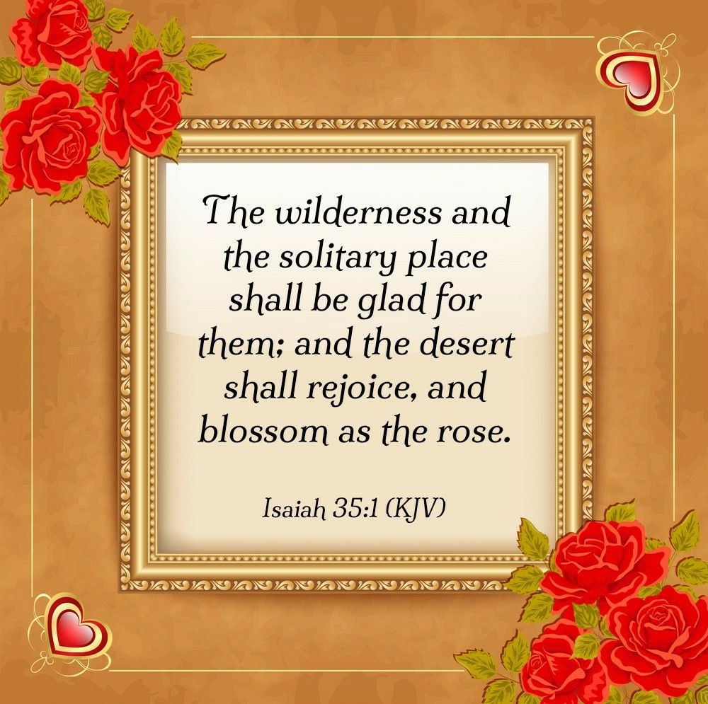Isaiah 35 1 KJV Inspirational Bible Quotes Kjv Bible Inspiration isaiah-35-1-kjv-inspirational-bible-quotes-kjv-bible-inspiration