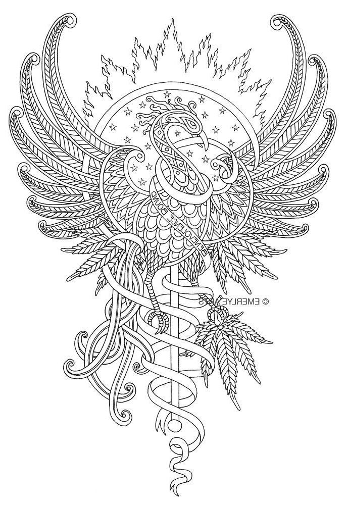 9 piece preferee coloriage phoenix pictures painting feather tattoos free art prints avion