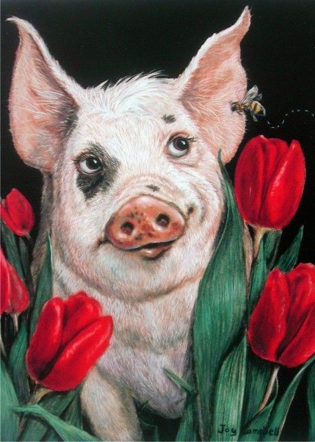 Pink Pig Nursery Art Canvas Print Painting By Junko Van Norman Pig Wall Art Pig Painting Pig Art
