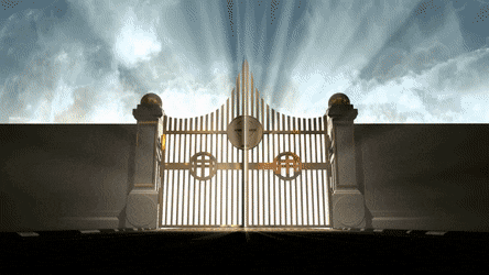 250 Gif ideas | gif, aesthetic gif, gif background