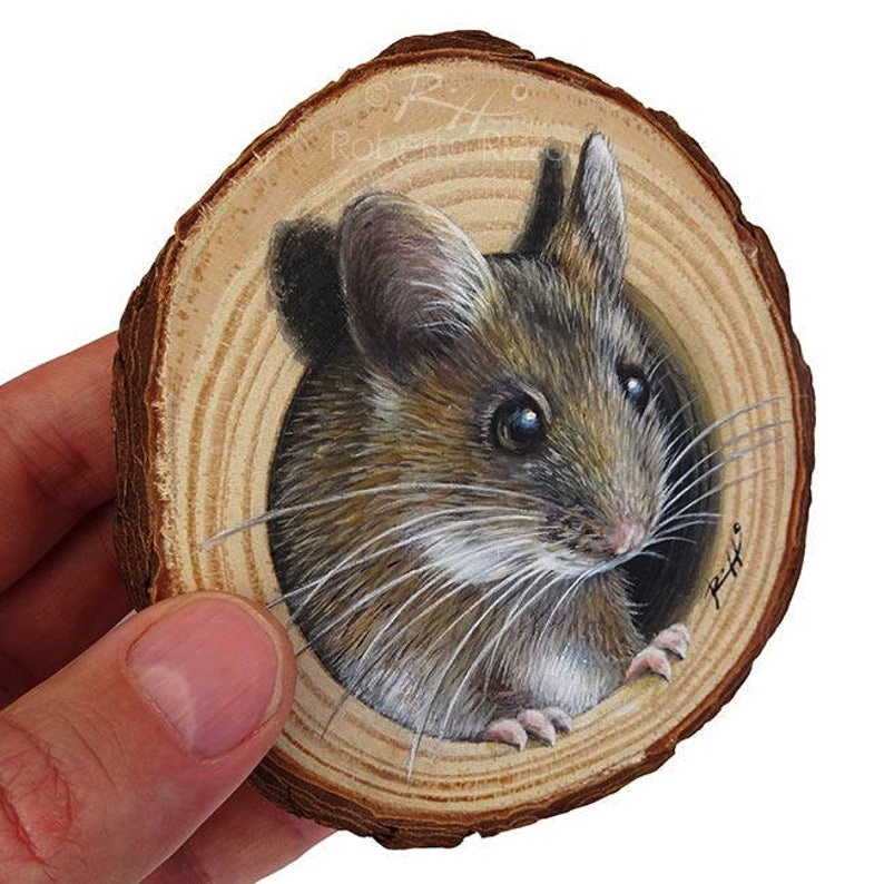 A Sweet Mouse Coming Out from Its Lair, a Unique W A Sweet Mouse Coming Out from Its Lair, a Unique W