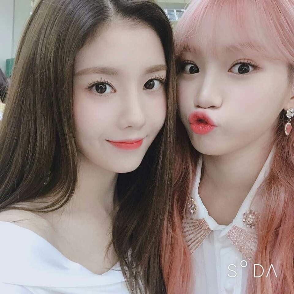 Iz One 女の子 可愛い 綺麗 可愛い Iz One 女の子 可愛い 綺麗 可愛い