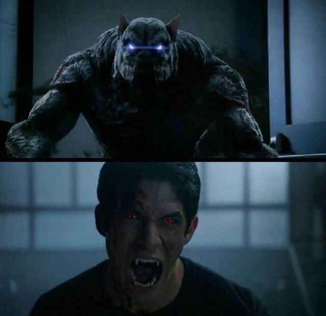 teen wolf in wolf forms teen wolf in wolf forms