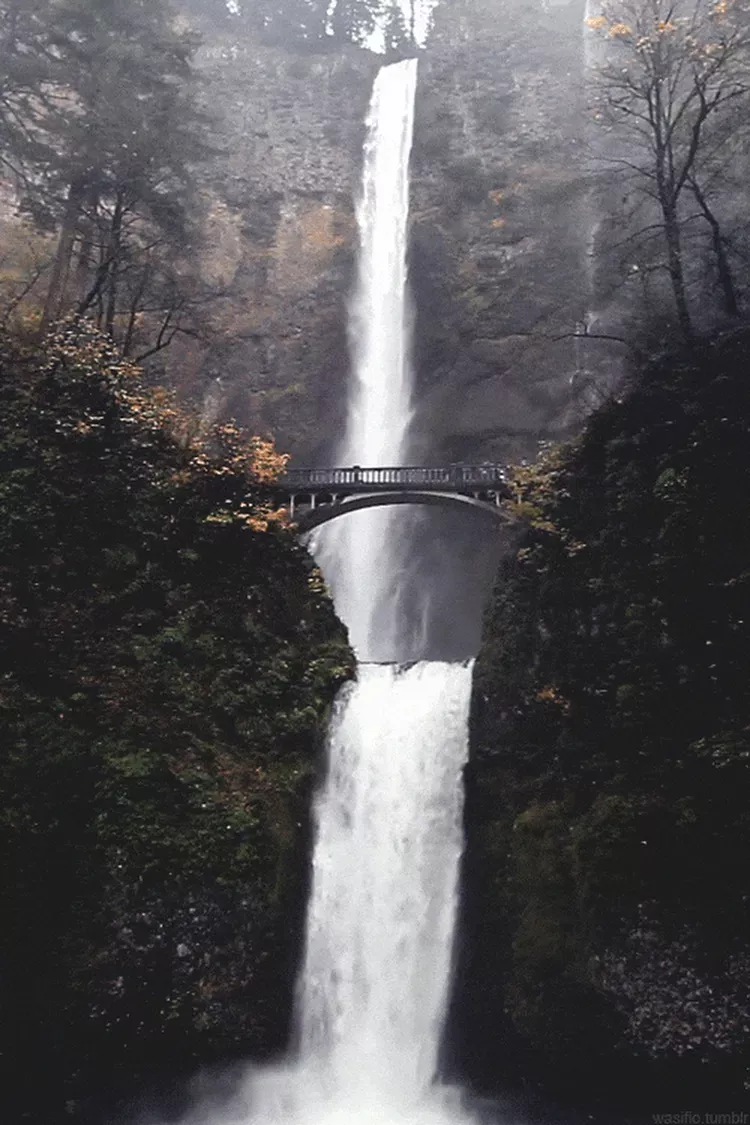 Keen Beautiful Pictures Of Nature Gif Keen Beautiful Pictures Of Nature Gif