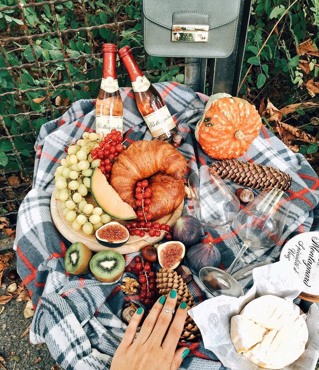 Picnic date