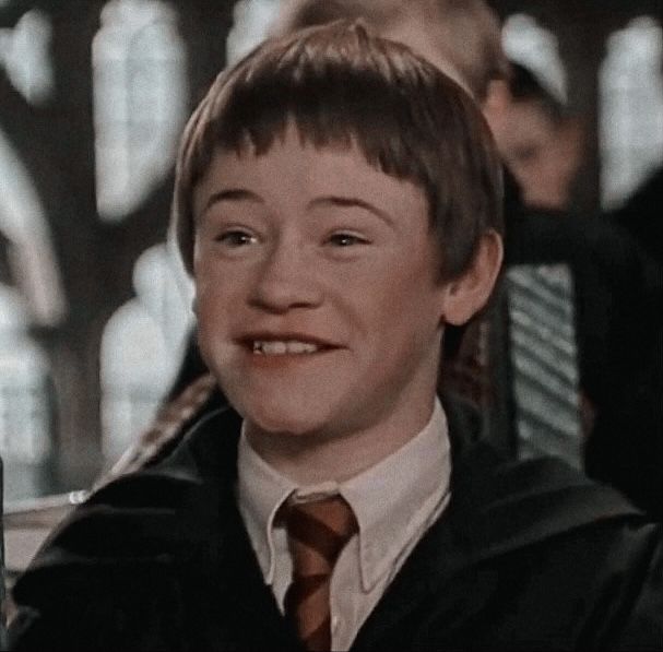 🪄seamus finnigan🪄 Memes, Harry potter, Personajes