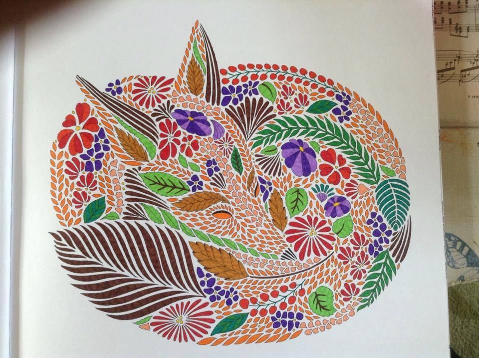 Download Pin by cathyspinterest on Millie Marotta's Other in 2020 ...