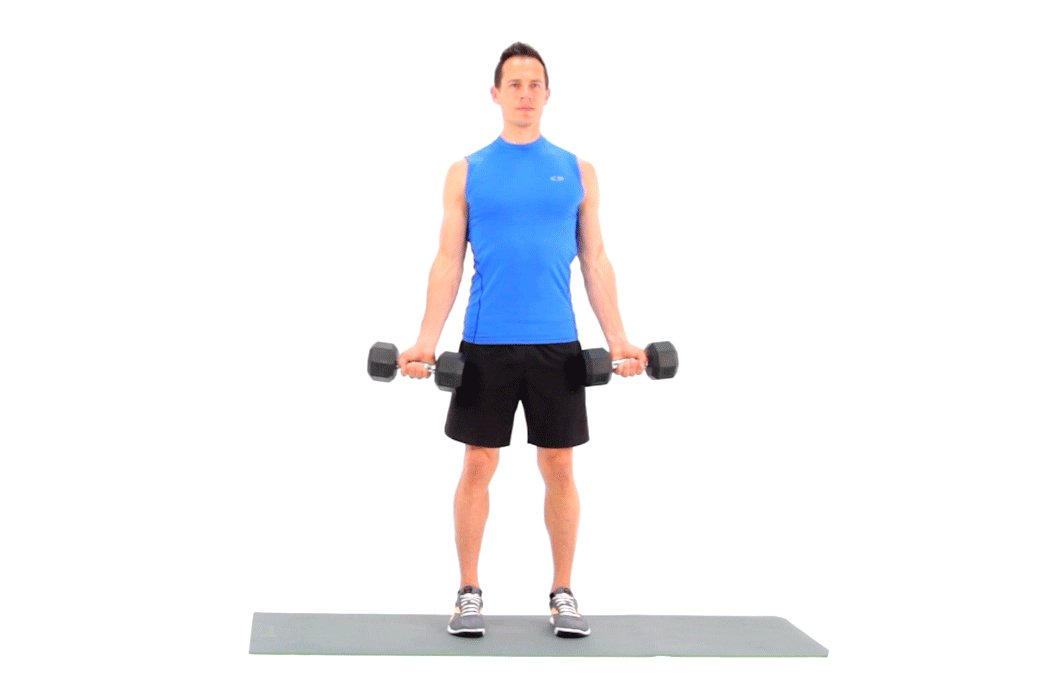 Dumbbell curls