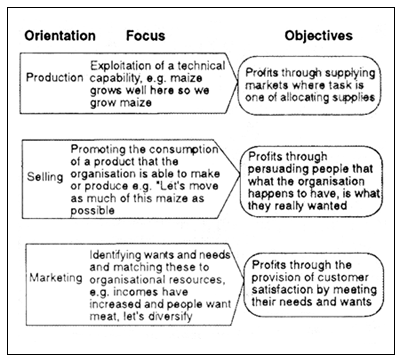 Economics term paper help
