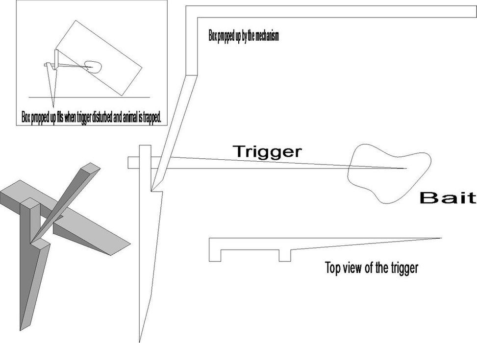 Making A Really Simple Rabbit Trap 6 Steps Urban Survival Wilderness how-to-draw-a-cute-girl-easy-step-by-step-for-kids-and-beginners-youtube