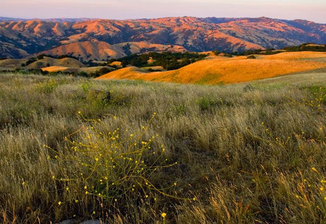 Mission Peak Regional Preserve Stanford Avenue Fremont Ca