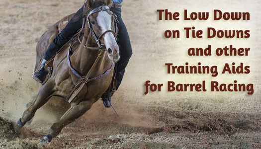 15 Crc Barrels And Poles Ideas Barrel Horse Barrel Racing Barrel Racing Tips 15 Crc Barrels And Poles Ideas Barrel Horse Barrel Racing Barrel Racing Tips