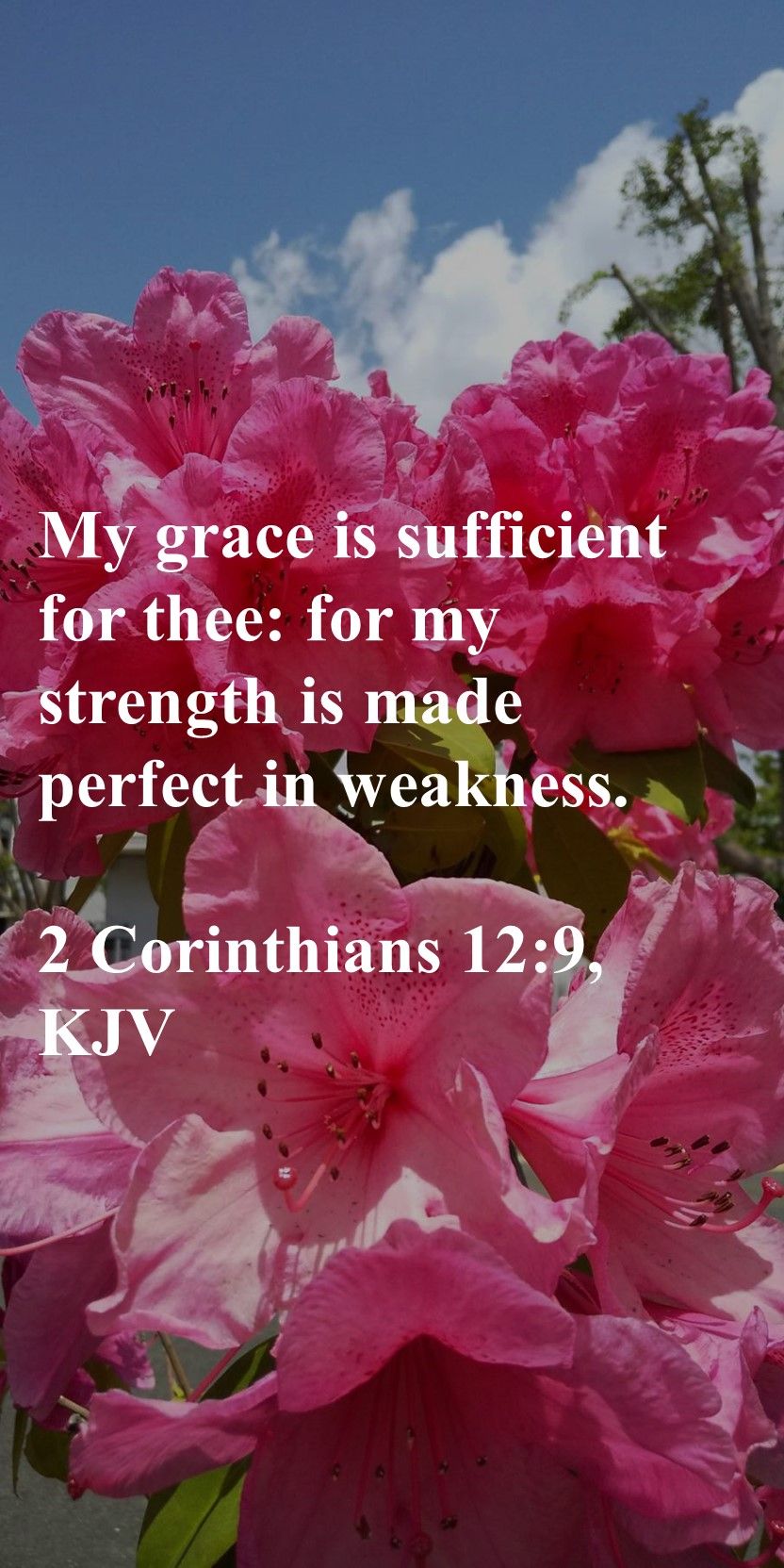 My Grace Is Sufficient For Thee For My Strength Is Made Perfect In my-grace-is-sufficient-for-thee-for-my-strength-is-made-perfect-in