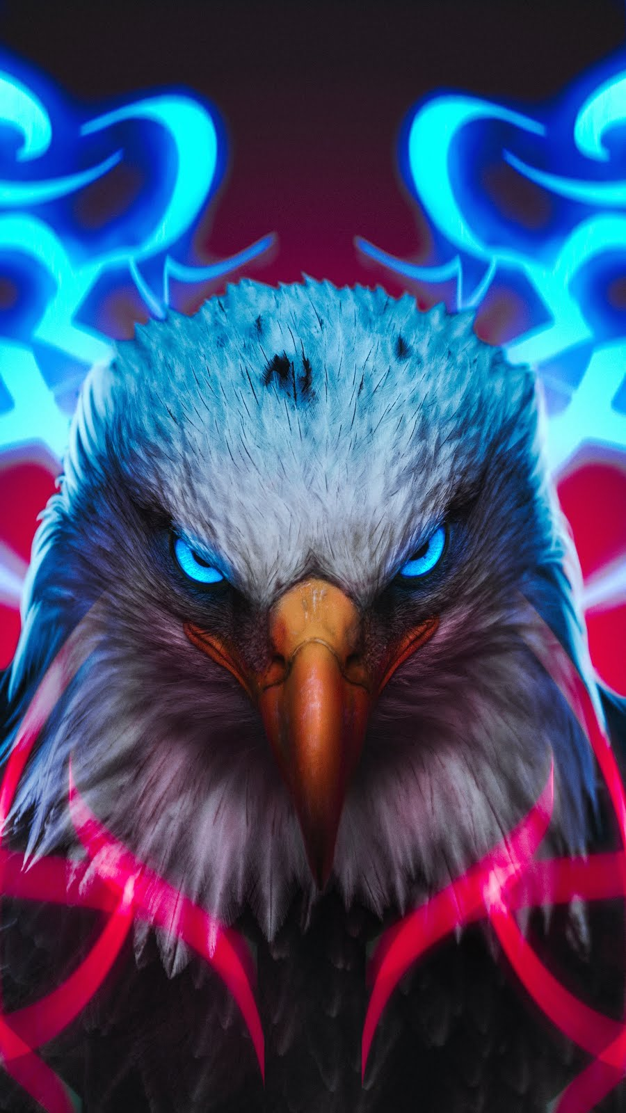 Cool eagle HD wallpapers  Pxfuel