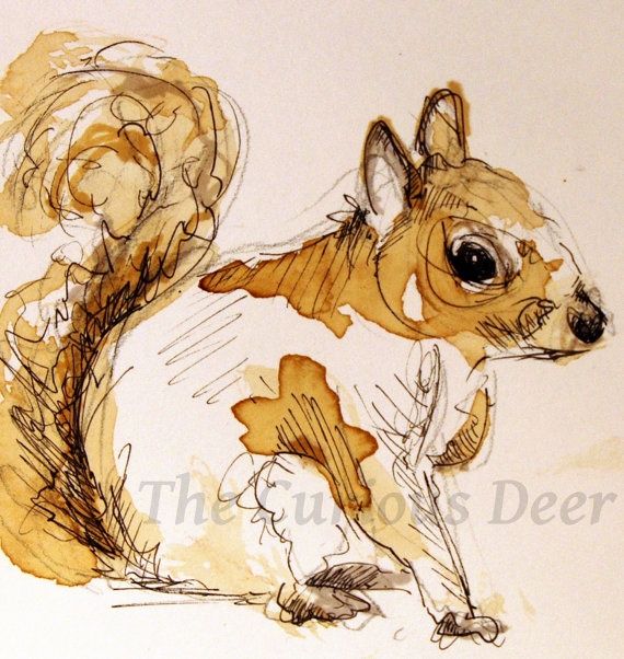 squirrel in forest artoon squirrel in forest artoon