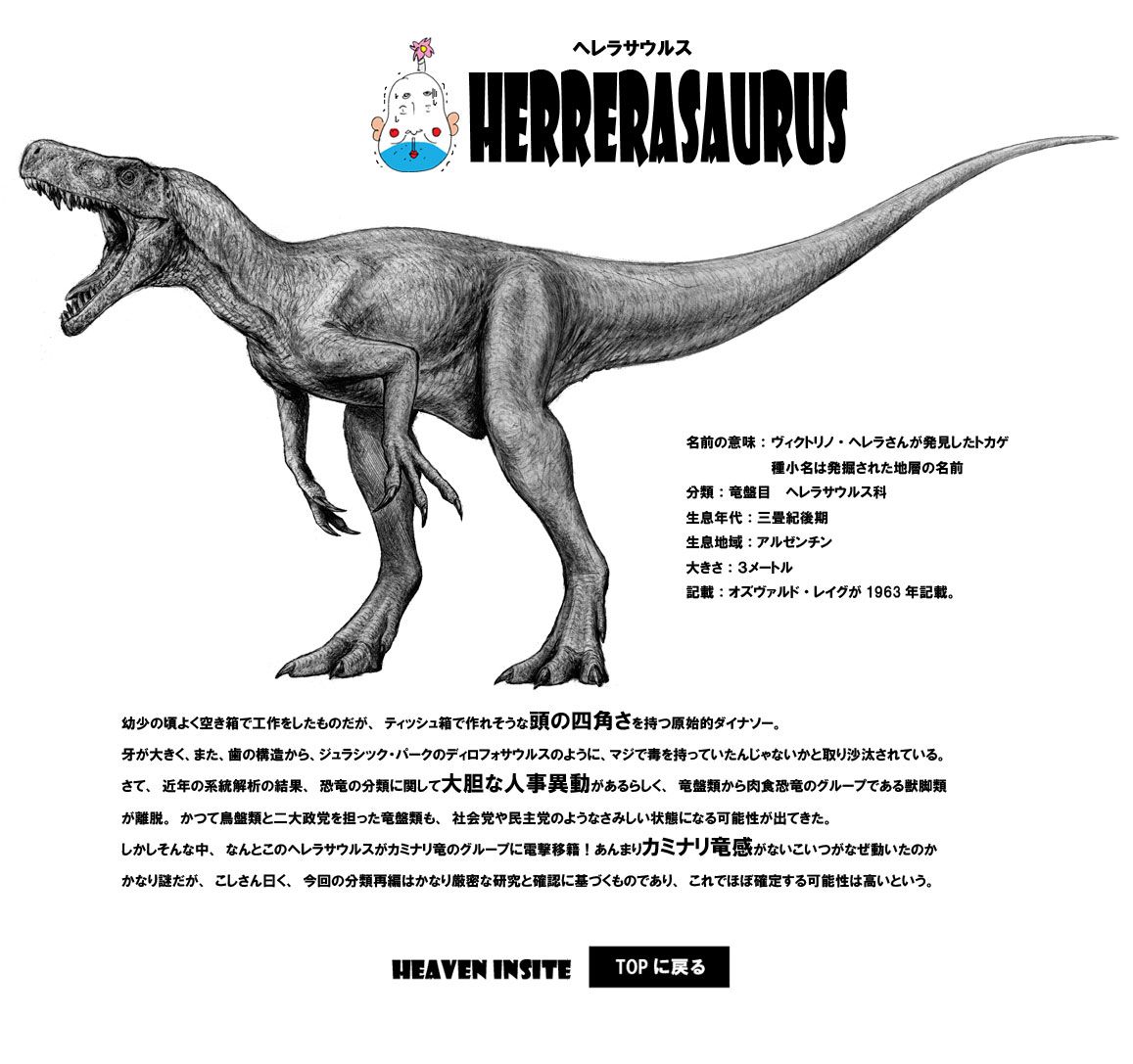 Heaven Insite Gallery ヘレラサウルス 恐竜