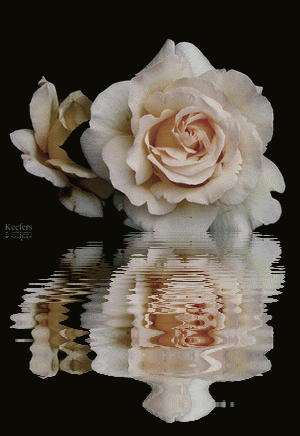 Animated Flowers. Water Reflections, Reflection, Animated Gif, Animated Gifs, Flores,
Rosas, Flowers, Beautiful Flowers,… | Flowers gif, Pink flower photos, Flowers