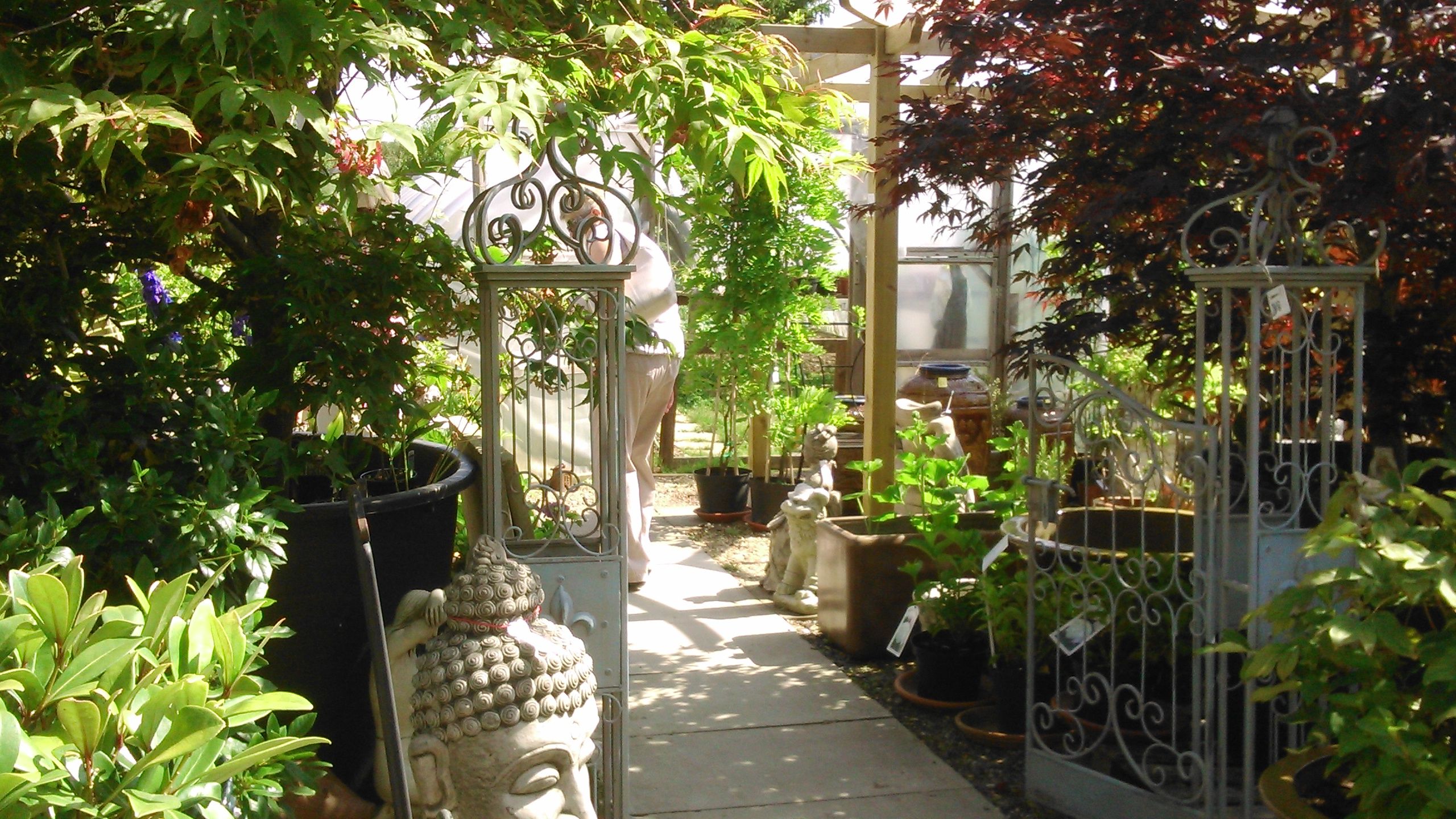 French Gate | Plants, Garden, Gate