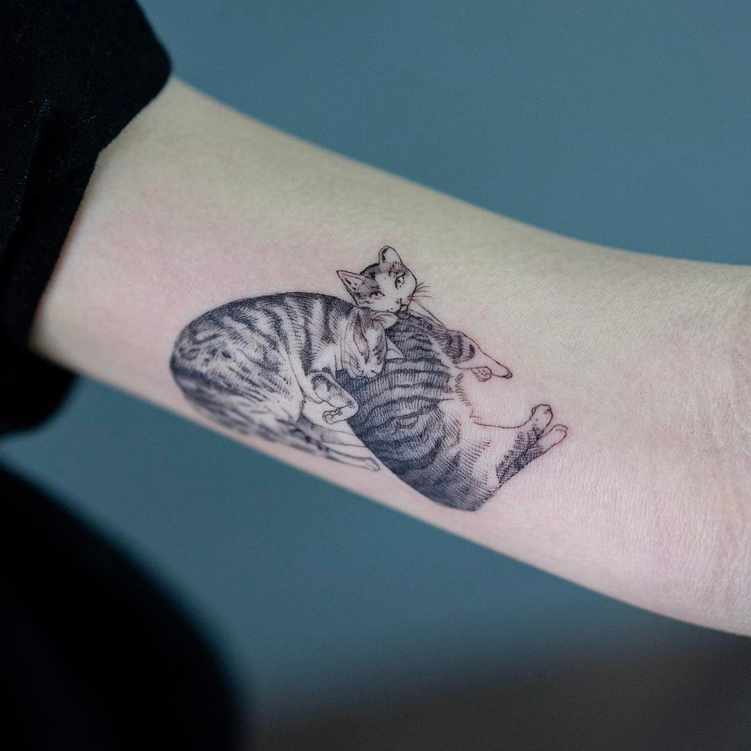 + Tatuajes de gatos para parejas 