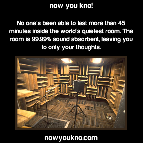 Room So Quiet You Can Hear Your Heart Beat Room So Quiet You Can Hear Your Heart Beat