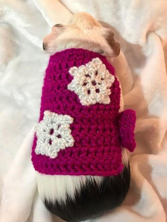 guinea pig clothes snowflake sweater christmas sweater guinea pig guinea pig christmas sweaters