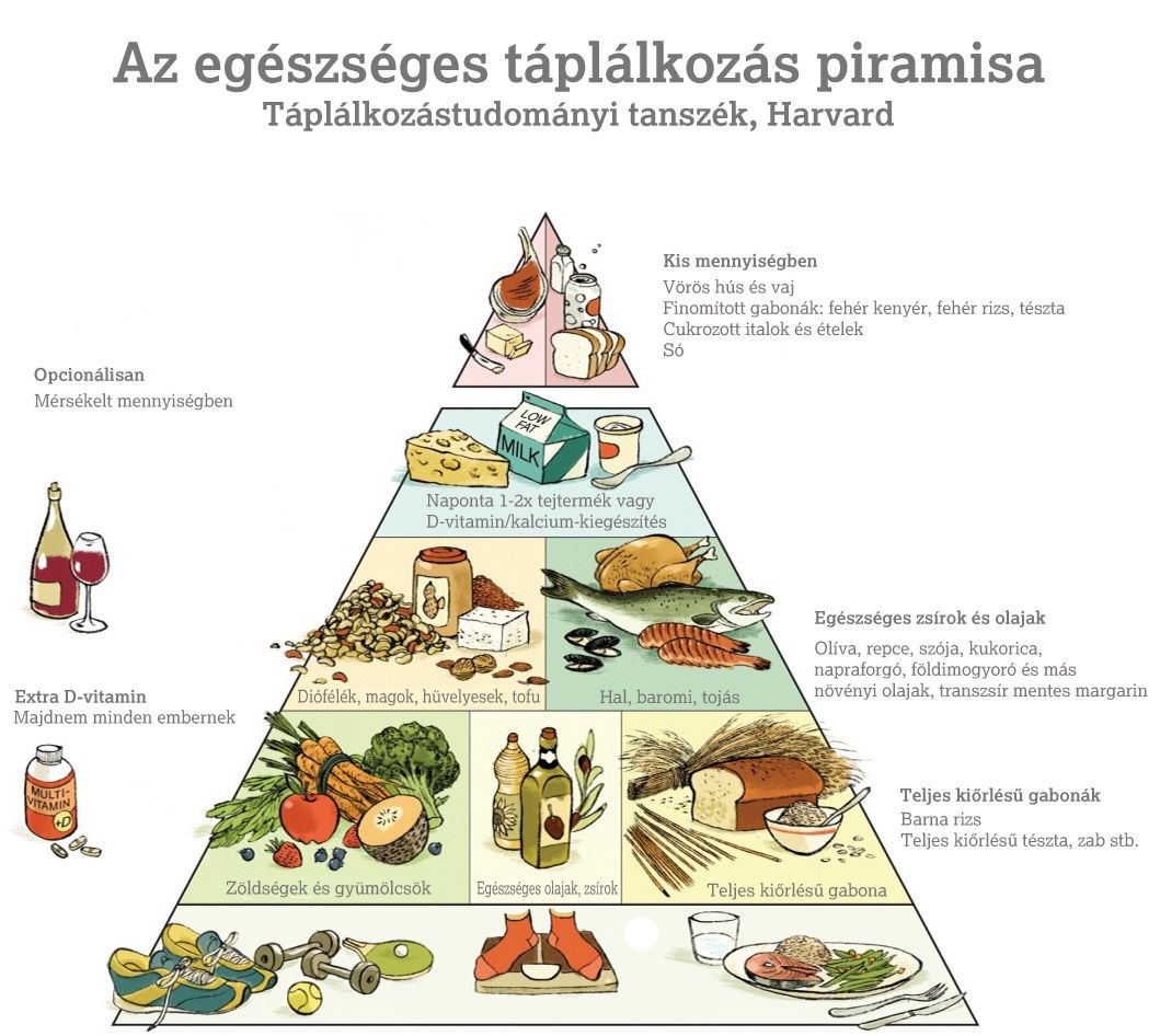 protein mentes diéta