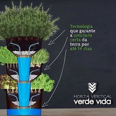 Horta Vertical Autoirrigável Verde Vida - Sem Rodízio - Inova Store - Produtos Inovadores, Presentes Criativos Sensory Garden, Aromatherapy, Kitchen Appliances, Store, Gardens, Irrigation Systems, Innovative Products, Wall Trellis, Vegetable Gardening
