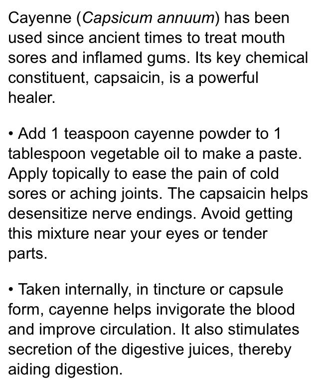 Cold Sore Remedy Canker Sore Cold Sore Treatment Cold Sores Remedies cold-sore-remedy-canker-sore-cold-sore-treatment-cold-sores-remedies