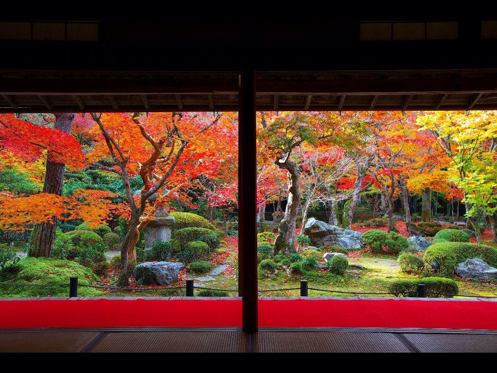 大原 宝泉院 モダンな日本庭園 禅庭 庭 大原 宝泉院 モダンな日本庭園 禅庭 庭