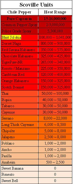 ghost pepper http www alamocitypepperproducts com scoville scale chart ghost pepper