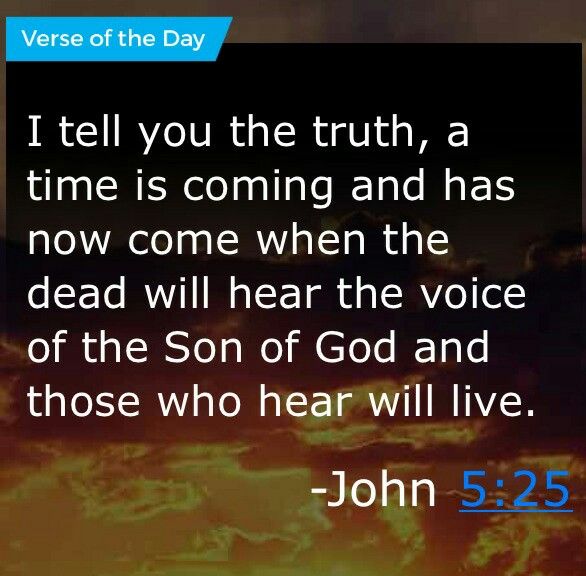 John 5 25 Verse Of The Day Verse Son Of God