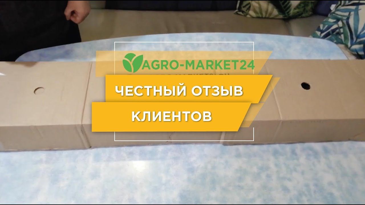 Роза плетистая фиолетовая "Индиголетта" (саженец класса АА+) высший сорт Airline, Travel, Viajes, Destinations, Traveling, Trips