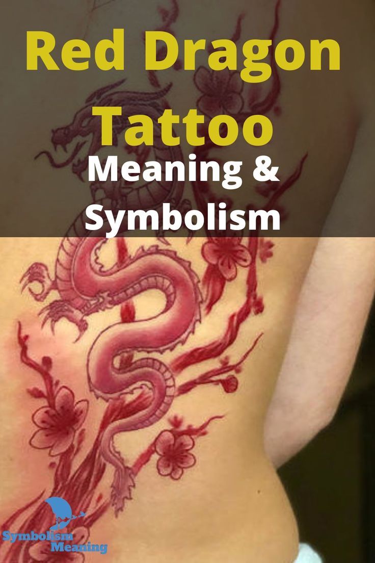 Red Dragon Tattoo Meaning & Symbolism Dragon Meaning, Dragon Tattoo Meaning, Red Dragon Tattoo, Dragon Tattoos For Men, Dragon Tattoo Designs, Tattoos With Meaning, Tattoos For Guys, Tattoos For Women, Tattoo Meanings