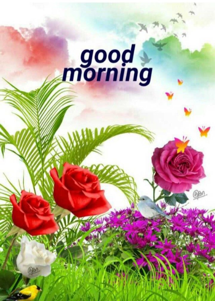 good morning pinterest images good morning pinterest images