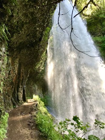 Middle North Falls | Oregon's Trail of Ten Falls doesn't get as much attention as Multomnah, but it's totally stunning and offers 10 waterfalls, a moderately easy hike, and is easy driving distance from Portland | why you should hike the Trail of 10 Falls in Silver Falls State Park #oregon #waterfalls #trailoftenfalls