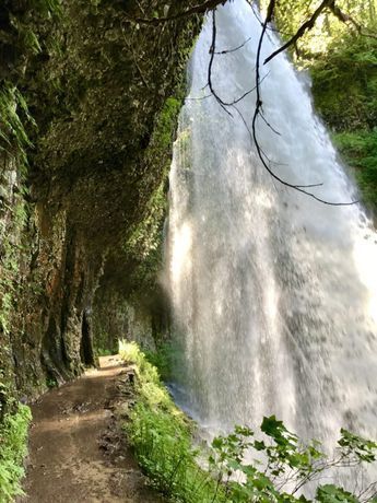 Hiking Oregon's Stunning Trail of Ten Falls