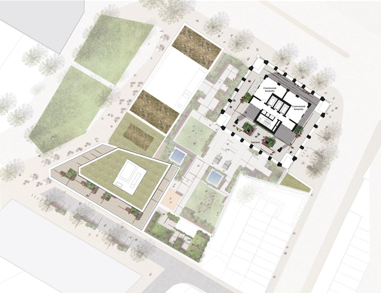 Birds Eye View Plan Campbell Cadey Peckham Landscape