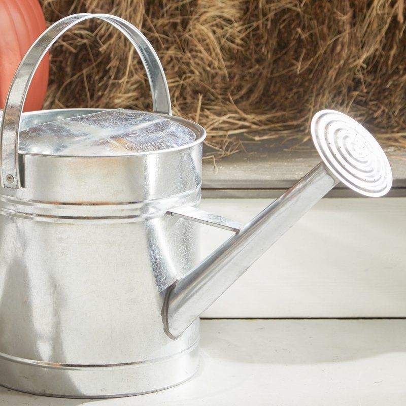 garden watering can home depot
