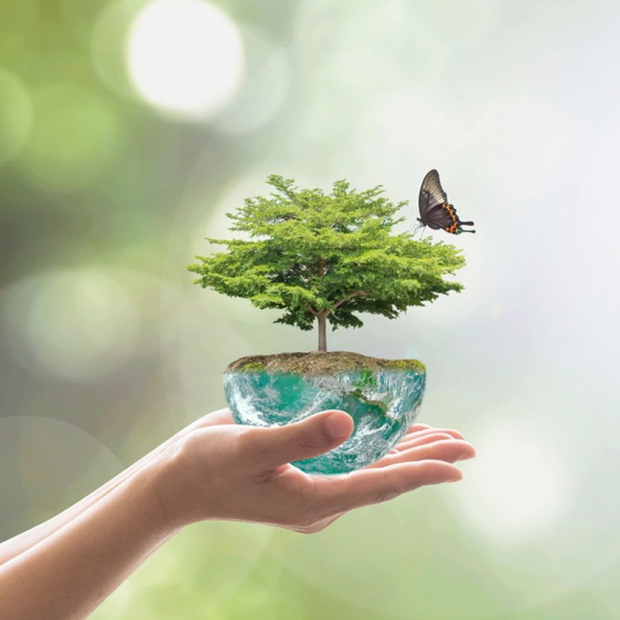 Greenhouse effect essay