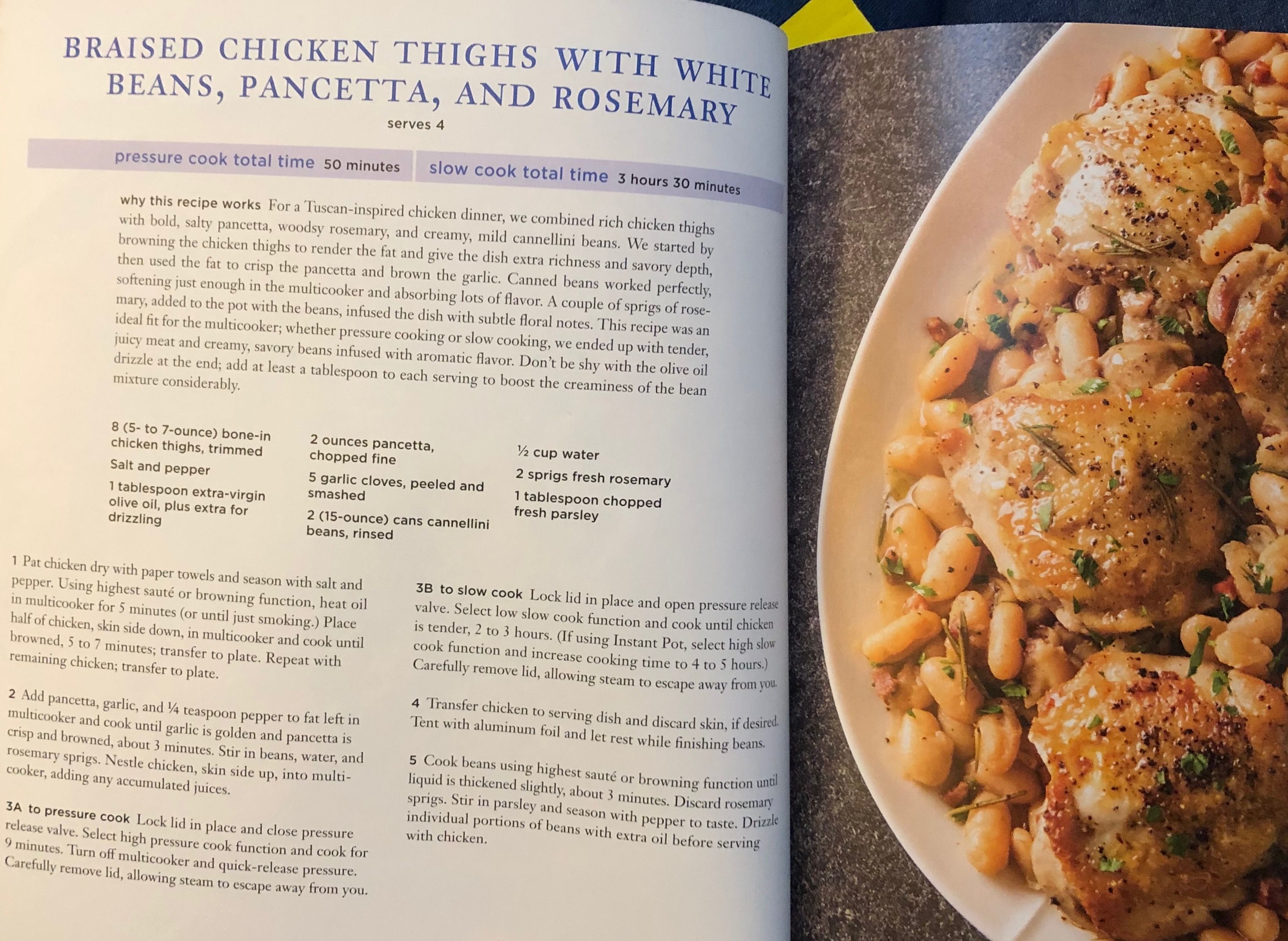 instant pot dog food chicken thighs - Bunyanesque E-Journal Photography