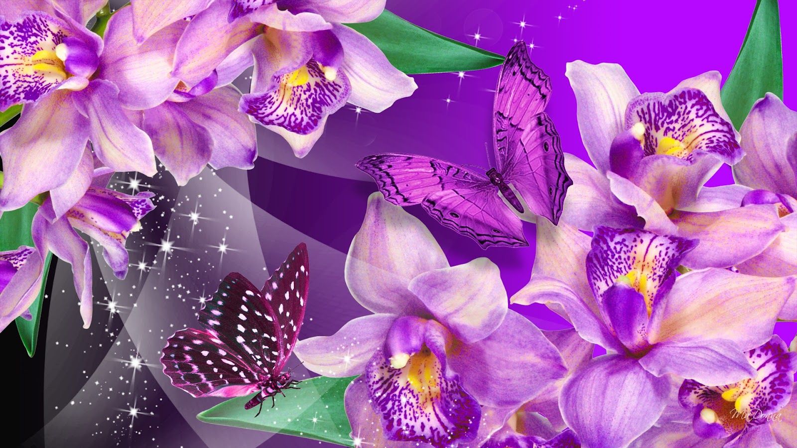 Purple Wallpapers And Hd Backgrounds Purple Butterfly Wallpaper Purple Wallpaper Dance Wallpaper