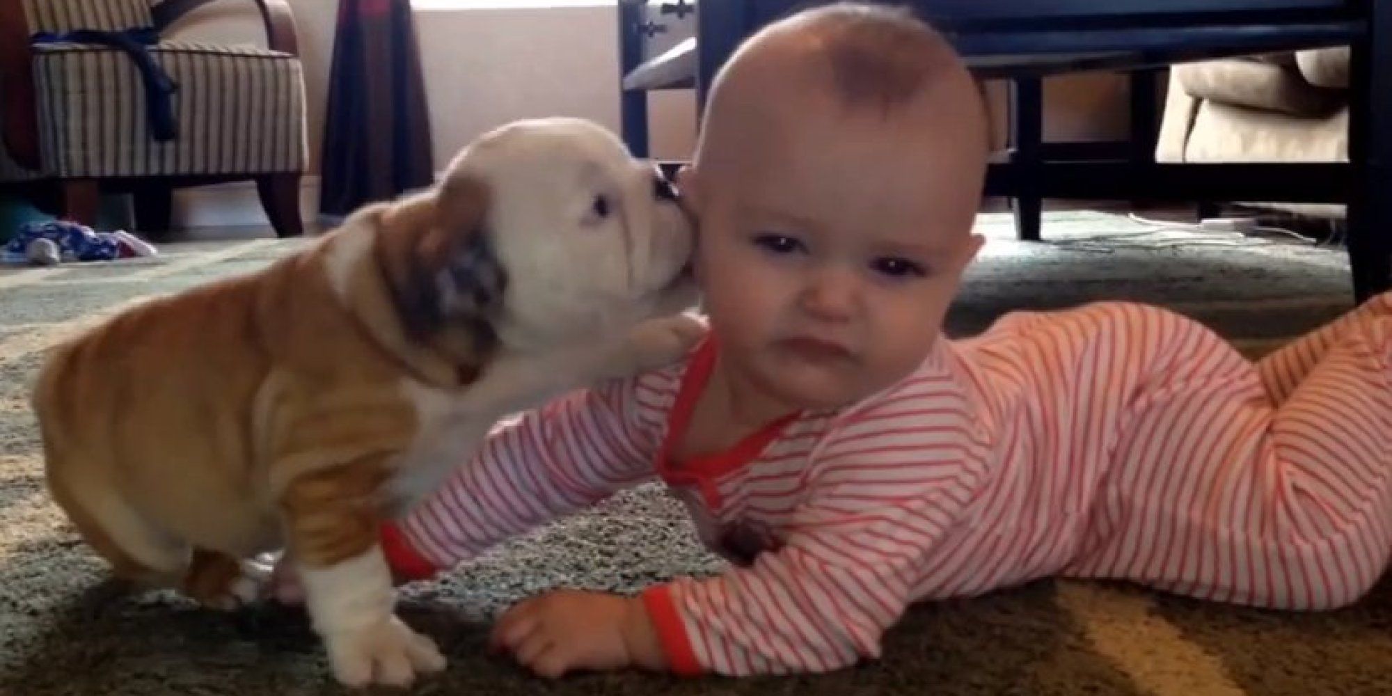 Bulldog Can T Stop Kissing Baby It S Clearly Puppy Love Baby