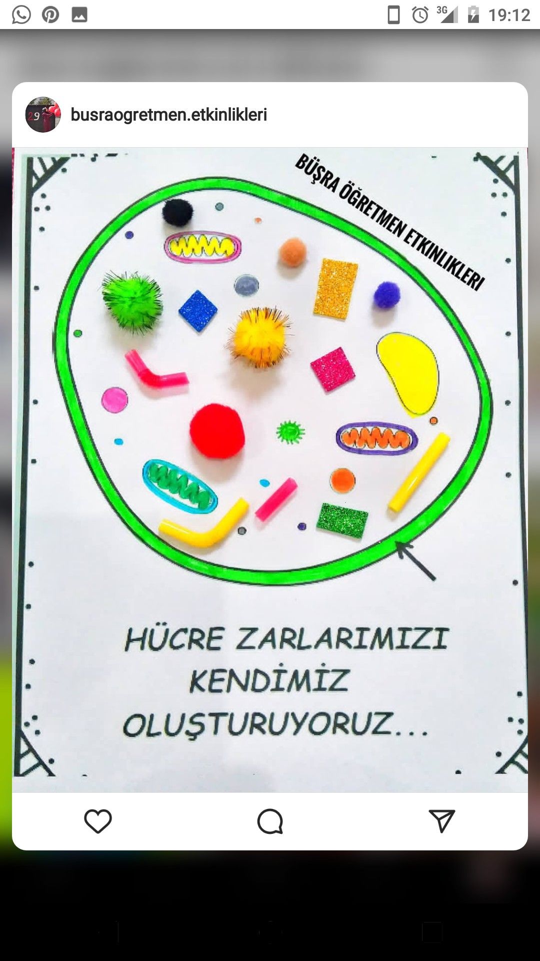 Okuloncesi Hucre Etkinligi Zara